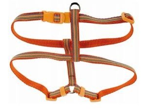 ZOLUX 466124OR Szelki COLOR LINE 10mm pomarańcz*