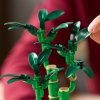 Zestaw Prezent LEGO ICONS 10344 Roślina Dracena Sandera 325 Klocki + Torba