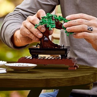 Zestaw Prezent Klocki LEGO ICONS 10281 Botanical Drzewko Bonsai + Torba
