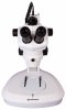 Mikroskop stereoskopowy Bresser Science ETD-201 8x–50x Trino Zoom