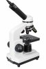 (PL) Mikroskop cyfrowy Levenhuk Rainbow D2L 0.3M, MoonstoneKamień Księżycowy