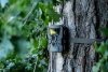 Kamera do obserwacji dzikich zwierząt Bresser 60° 5–20 MP