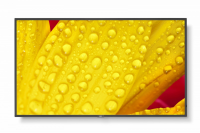 Monitor NEC 60006083 (43 /TFT IPS /60Hz /3840 × 2160 /Czarny ) 