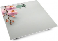 Waga łazienkowa ESPERANZA Orchid EBS010 (maks. 180kg /Biały) 