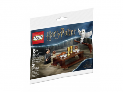 Harry Potter i Hedwiga: przesyłka dostarczona przez sowę