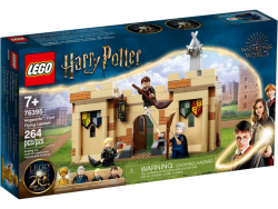 LEGO 76395 Harry Potter - Hogwart: Pierwsza lekcja latania