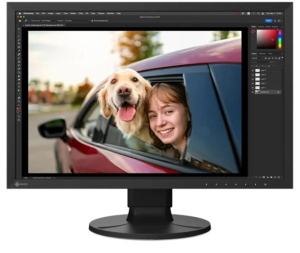 Monitor EIZO CS2400R (24.1 /IPS /60Hz /1920 x 1200 /Czarny)