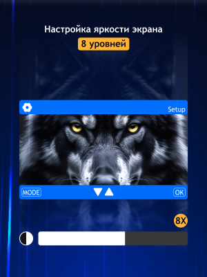 Cyfrowa lornetka noktowizyjna Levenhuk Halo 30XN