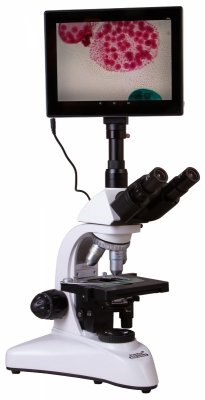 Trójokularowy mikroskop cyfrowy Levenhuk MED D25T LCD