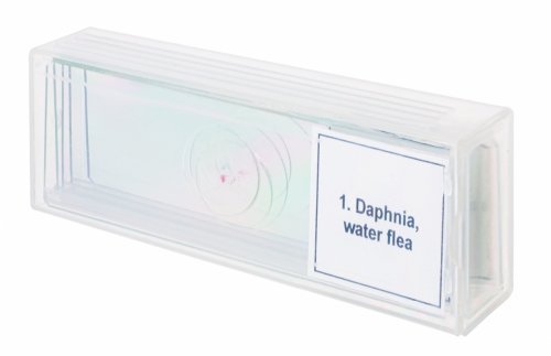 Zestaw mikropreparatów Levenhuk Discovery Prof DPS 5. „Życie w kropli wody”
