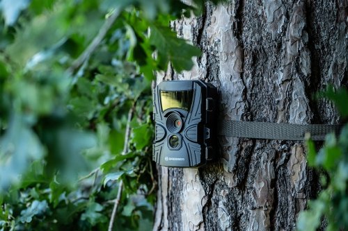 Kamera do obserwacji dzikich zwierząt Bresser 60° 5–20 MP