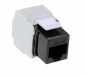 Moduł keystone C6 utp toolless 