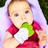 Rękawiczka gryzak na ząbkowanie dla dziecka zielona