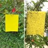 lepy na owady żółte klejące karteczki
