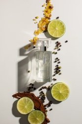 PERFUMY MĘSKIE PICARO TOMONSKI 50 ml