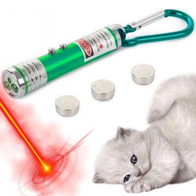 Laser prezentacyjny i zabawka dla kota