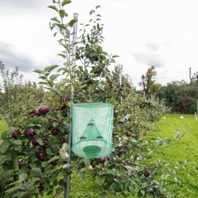 Pułapka na muchy i owady worek XXL zielona ekologiczna