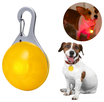 lampka led na obrożę