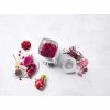 Blender Wysokowydajny Pro Srebrny Enfinigy Zwilling
