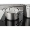 Garnek Niski Z Pokrywką 8.5l TWIN Classic Zwilling