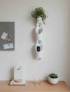 UMBRA-Kwietnik/organizer ścienny biały, FLORALINK