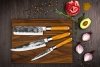 Zestaw 3 noży Forged Olive w pudełku