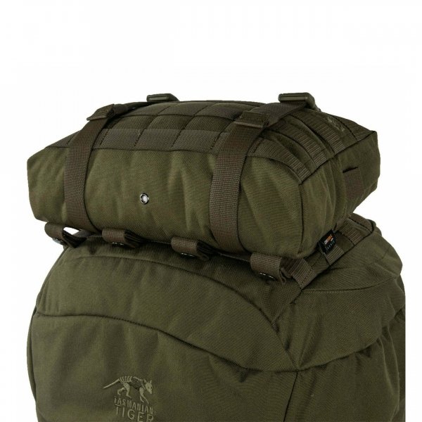 Kieszeń modułowa duża Tasmanian Tiger Tac Pouch 10 olive