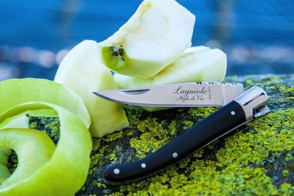 Nóż kieszonkowy Laguiole Luxury Line Black  9 cm