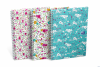 Kołonotatnik A6 50 kartek kratka Floral Oxford 400094826