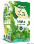 Herbata HERBAPOL ZIELNIK POLSKI Mięta (20 torebek)