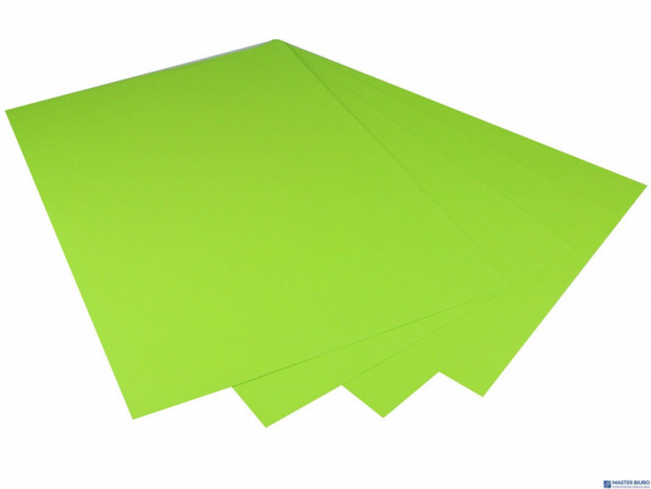 Karton kolorowy Oxford B1 225g 25ark nr.66 j.zielony 400150267 TOP-2000