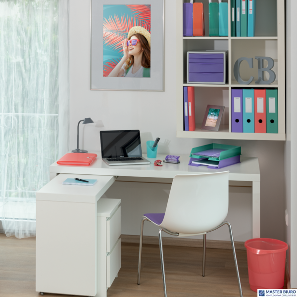 Kołonotatnik Colour Breeze A4, w kratkę, niebieski Esselte 628476
