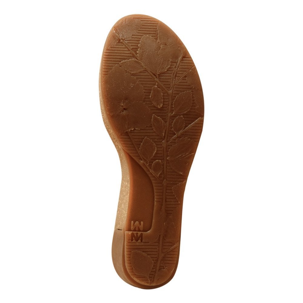 El naturalista deals leaves n5001
