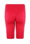 CYCLING SHORTS ACTIVE SEAMLESS 004.4038S