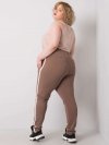 Spodnie dresowe-RV-DR-6643.95-brązowy rozmiar - 3XL