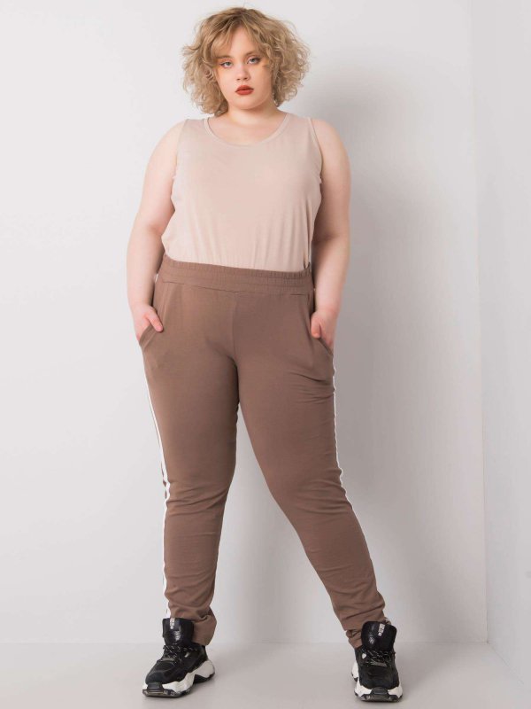 Spodnie dresowe-RV-DR-6643.95-brązowy rozmiar - 3XL