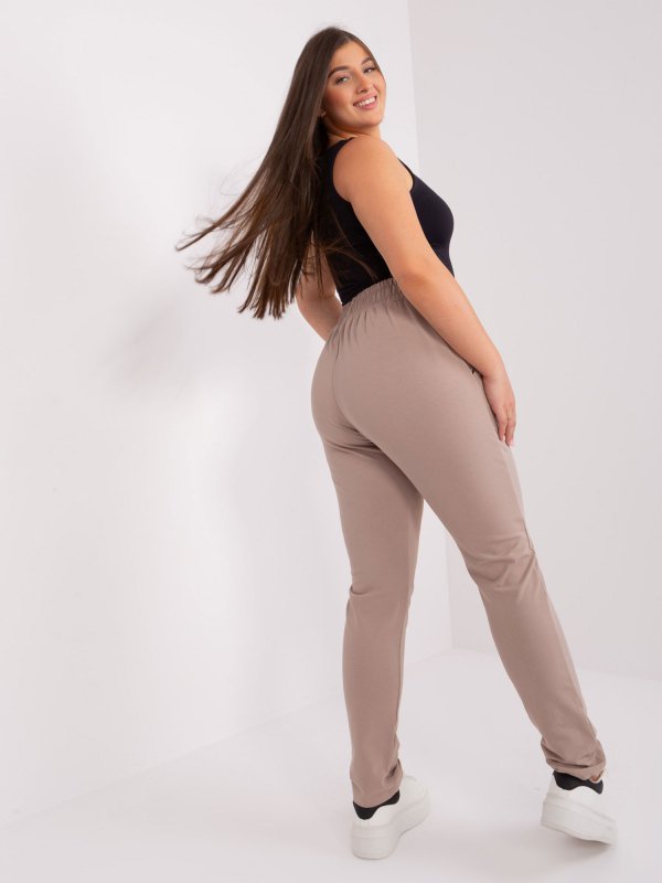 Spodnie dresowe-RV-DR-4765.52-beżowy rozmiar - 3 XL