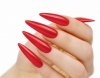 SOFT GEL TIPS with Long Stiletto Tips 500st
