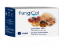 Fungicol - synergiczne działanie wielu grzybów