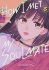 HOW I MET MY SOULMATE VOL 03 TP [9781646519996]