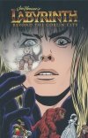 JIM HENSONS LABYRINTH BEYOND THE GOBLIN CITY TP [9781608861309]