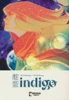 INDIGO TP [9781545819036]
