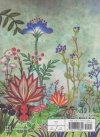 CIGUATERA VOL 02 TP [9781647290801]