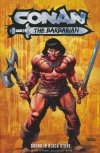 CONAN THE BARBARIAN VOL 01 TP [STANDARD] [9781787740143]