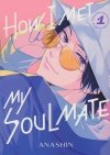 HOW I MET MY SOULMATE VOL 01 TP [9781646518753]