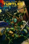 TEENAGE MUTANT NINJA TURTLES HEROES HC [9781613779248]