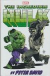 INCREDIBLE HULK BY PETER DAVID OMNIBUS VOL 05 HC [STANDARD] [9781302950965] **OFERTA SPECJALNA**