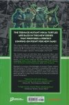 TEENAGE MUTANT NINJA TURTLES VOL 01 RETURN TO NEW YORK LIBRARY EDITION HC [9798887243047] **OFERTA SPECJALNA**