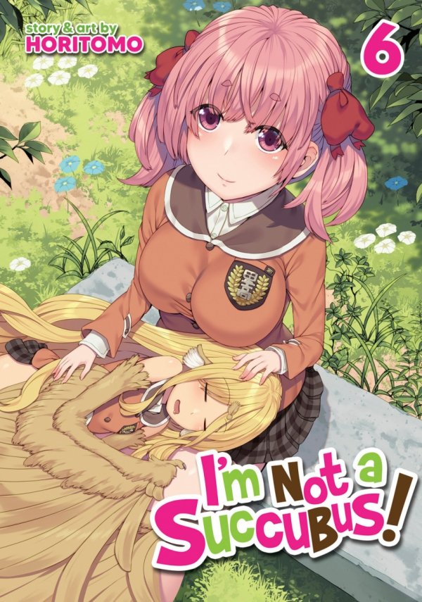 IM NOT A SUCCUBUS VOL 06 TP [9798891606401]