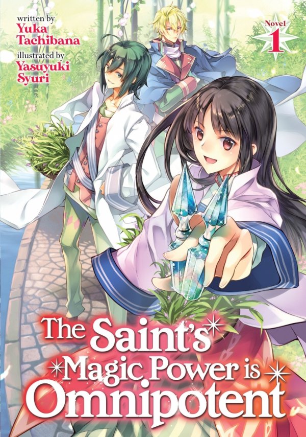 SAINTS MAGIC POWER IS OMNIPOTENT THE OTHER SAINT LIGHT NOVEL VOL 01 TP [9781645058502]